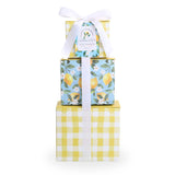Alder Creek Gift Baskets Lemon Twist 3-High Tower with Candy, Cookies, and Popcorn for Summer, Thank You, Birthday, Housewarming, Mother's Day