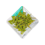 Louisa | Lemon Verbena Tea | Tangiers Tea | Premium quality 100% Pure Herbal Loose Leaf | Naturally Caffeine-Free | Refreshing Citrus Flavor | Calming