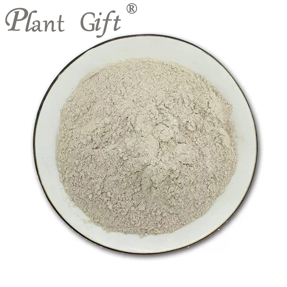 Plant Gift 100% Pure Brown Rice Powder ??? Natural Brown Rice Flour, Great Flavor for Drinks | Adds Flavor and Taste, Non-GMO Powder, No Filler, No