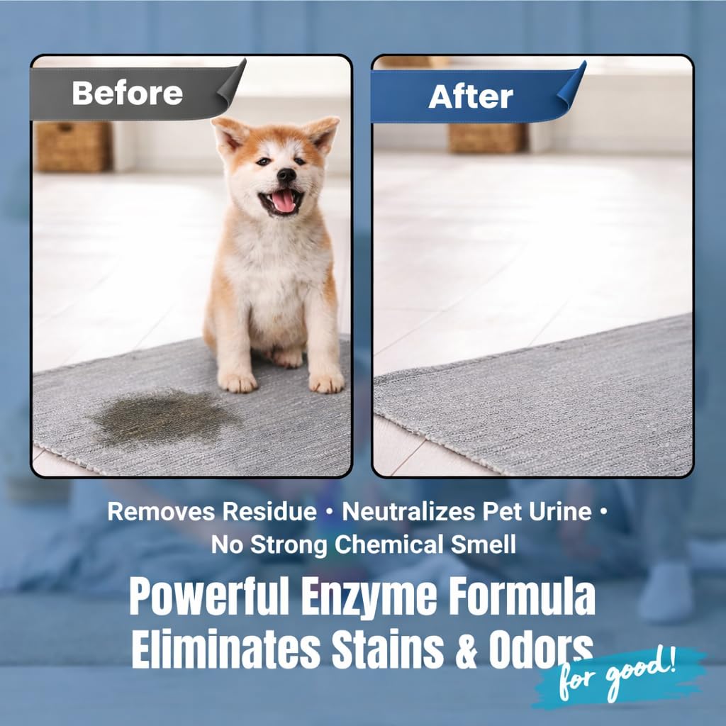 Bioclean Pet Carpet Cleaner & Deodorizer - Eliminates Pet Urine Smell, Stain & Odor Remover, No Residue, Made in USA - 16oz
