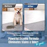 Bioclean Pet Carpet Cleaner & Deodorizer - Eliminates Pet Urine Smell, Stain & Odor Remover, No Residue, Made in USA - 16oz