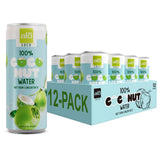 ALO | 100% Pure Coconut Water, Not From Concentrate | 12 Pack | 10.8 oz (320mL) Aluminum Cans