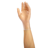 AmerCare Verge Powder Free Gloves, Vinyl, Small, Case of 1000
