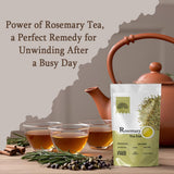 Rosemary Leaf Tea Cut 100 g | Dry Rosemary sprigs| Rosmarinus officinalis Leaves for Herbal Tea | Premium Quality Loose Leaf Tea By Hebhac Herbals