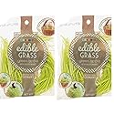 Edible Easter Grass- Eco friendly, Delicious Edible Grass Perfect for Easter Baskets. Green Apple -2 Individual Packages of Green Apple Edible Easter