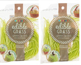 Edible Easter Grass- Eco friendly, Delicious Edible Grass Perfect for Easter Baskets. Green Apple -2 Individual Packages of Green Apple Edible Easter