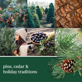 Yankee Candle ScentPlug Refill, Balsam & Cedar Juniper Berry Scented Oil, Plug In Air Freshener for Home Long Lasting Continuous Fragrance, 0.625 Oz