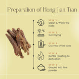 Golden Root | Hong Jing Tian | Rhodiola Rosea Herb (Whole Root) Herb Tea, 1 Pound - Plum Dragon Herbs