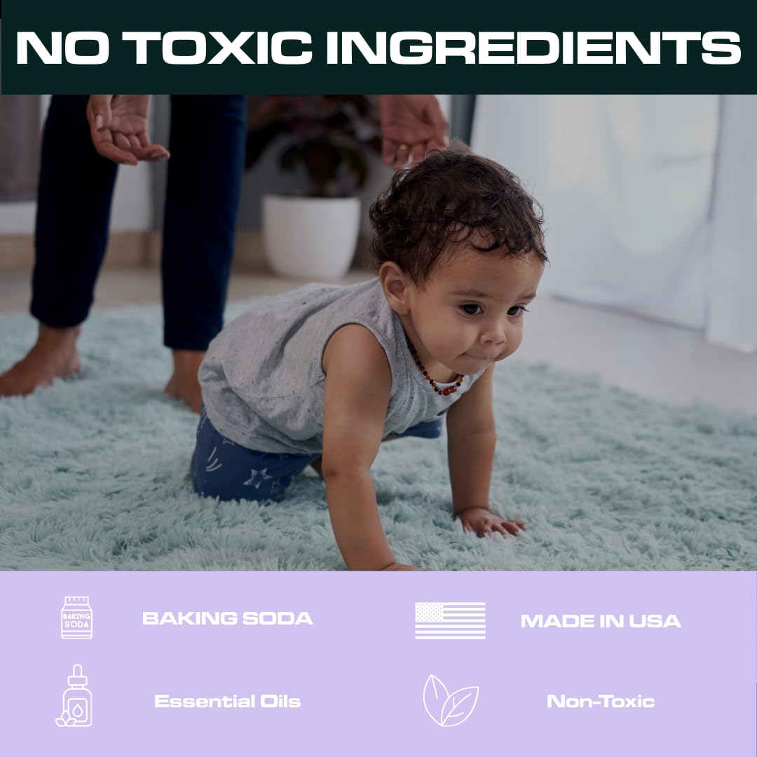 Ripclean Carpet Deodorizer & Freshener Cleaning Powder, Odor Eliminator for Strong Odors & Homes w/Pets, Safe around Kids & Pets, Use on Carpet, Rugs