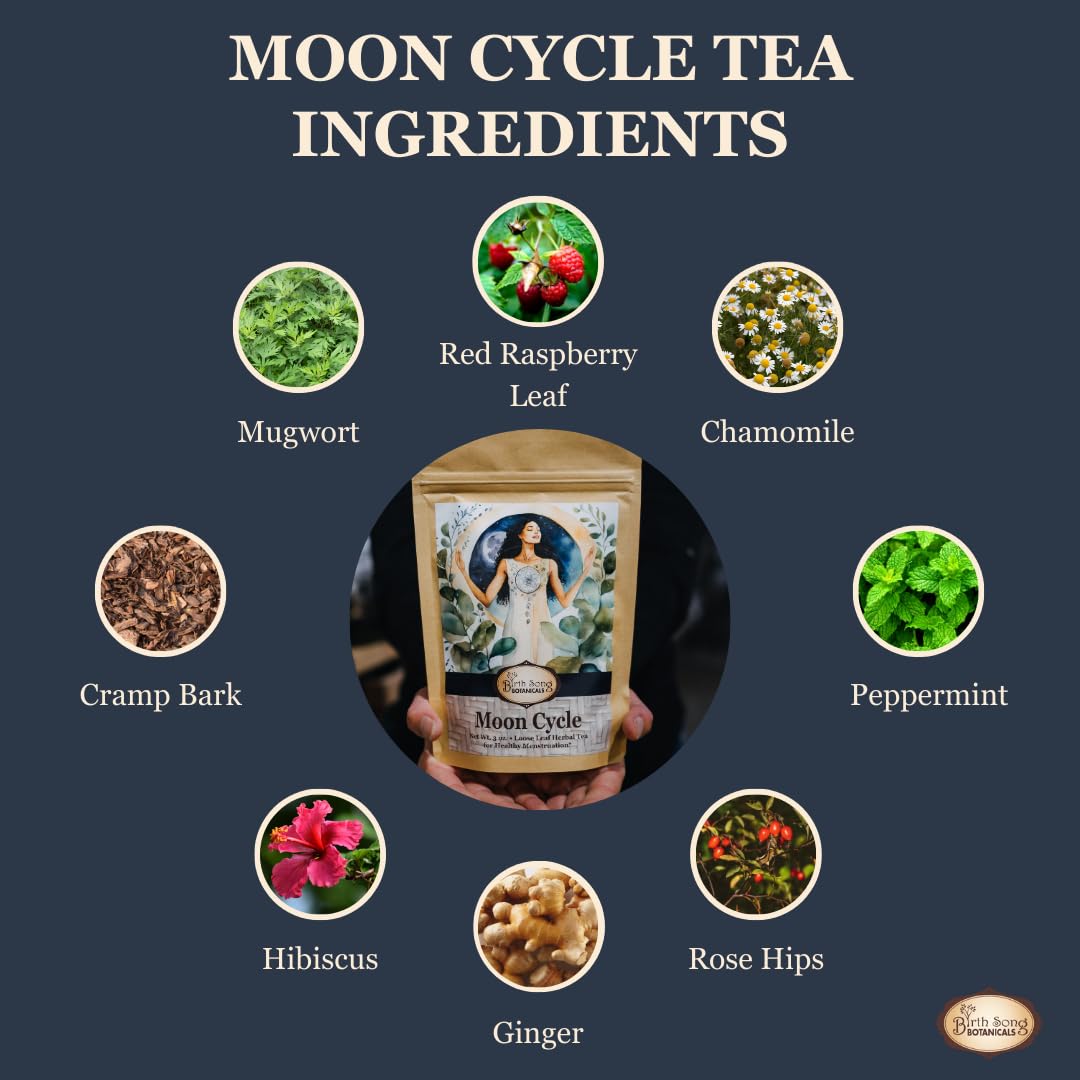 Birth Song Botanicals Organic Moon Cycle Menstrual Tea for Women, Herbal Period Cramp & PMS Relief, Hormone Balance, Bloat & Cycle Support Raspberry