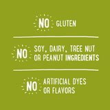 Udis Gluten Free Foods Whole Grain Bread, 12 Ounce