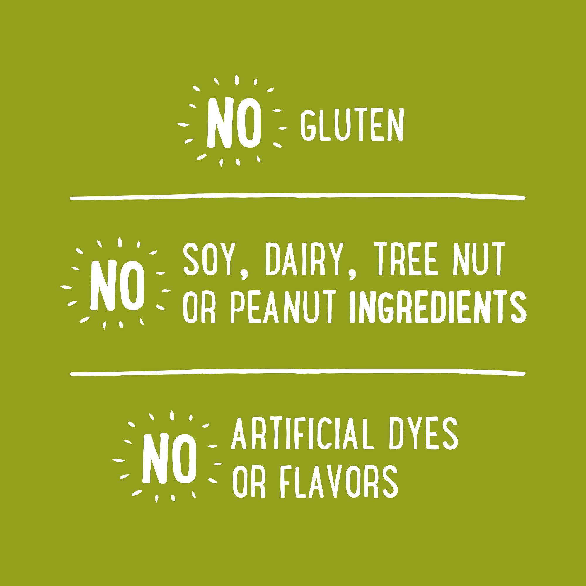 Udis Gluten Free Foods Whole Grain Bread, 12 Ounce