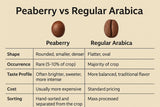 Indian Peaberry Whole Bean Coffee - Freshly Roasted Premium Arabica Coffee Beans - Gourmet Coffee from India- Giri Estates(TM)