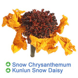 Plant Gift Kunlun Snow Daisy Tea Snow Chrysanthemum Tea, Chinese Natural Caffeine-free, Sweet Flora Herbal Tea, Kunlun Snow Chrysanthemum 40g/1.4oz