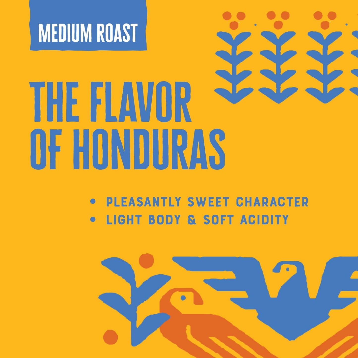Patria Honduras Medium Roast Ground Coffee, 12oz Bag (Pack of 1)