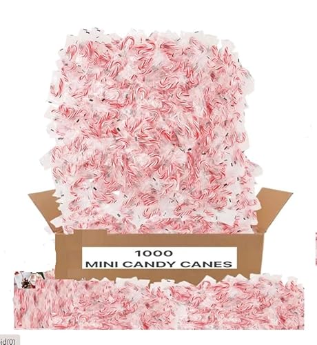 MINI CANDY CANES (1000 MINI CANDY CANES) | Mini Candy Canes Peppermint Flavored | Red & White Stripes - Individually Wrapped Gift Pack | Holiday Candy