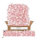 MINI CANDY CANES (1000 MINI CANDY CANES) | Mini Candy Canes Peppermint Flavored | Red & White Stripes - Individually Wrapped Gift Pack | Holiday Candy