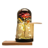 OPeque Fashion Simple Gold foil Flower Plastic Cover Creative Table Decoration Handmade Gift Rose Glass Cover