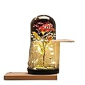 OPeque Fashion Simple Gold foil Flower Plastic Cover Creative Table Decoration Handmade Gift Rose Glass Cover