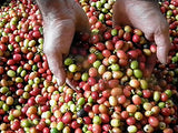Cafe La Finca Arabica Ground Coffee 100% Coffee From Puerto Rico 12 ounces