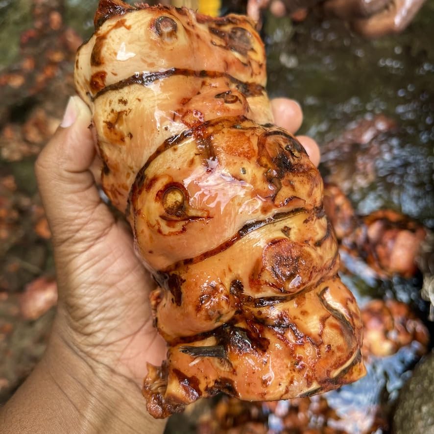 Chaney Root, Cocolmeca, Dried and chipped - Origins: Jamaica, Wildcrafted