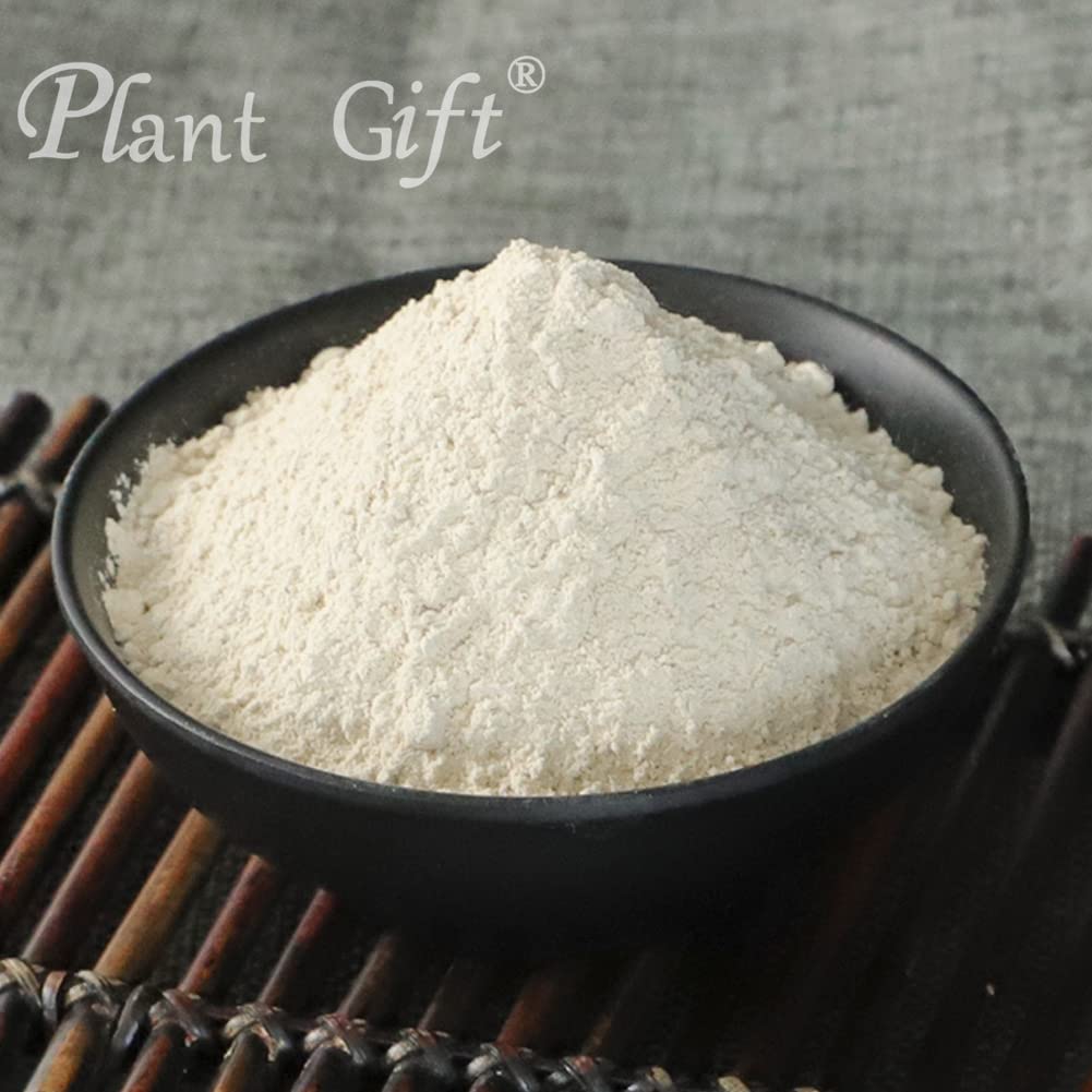 Plant Gift 100% Pure Angelica Dahurica Powder ??? Natural Angelica Flour, Dong Quai Root Powder for Drinks, Adds Flavor and Taste Non-GMO Powder, No