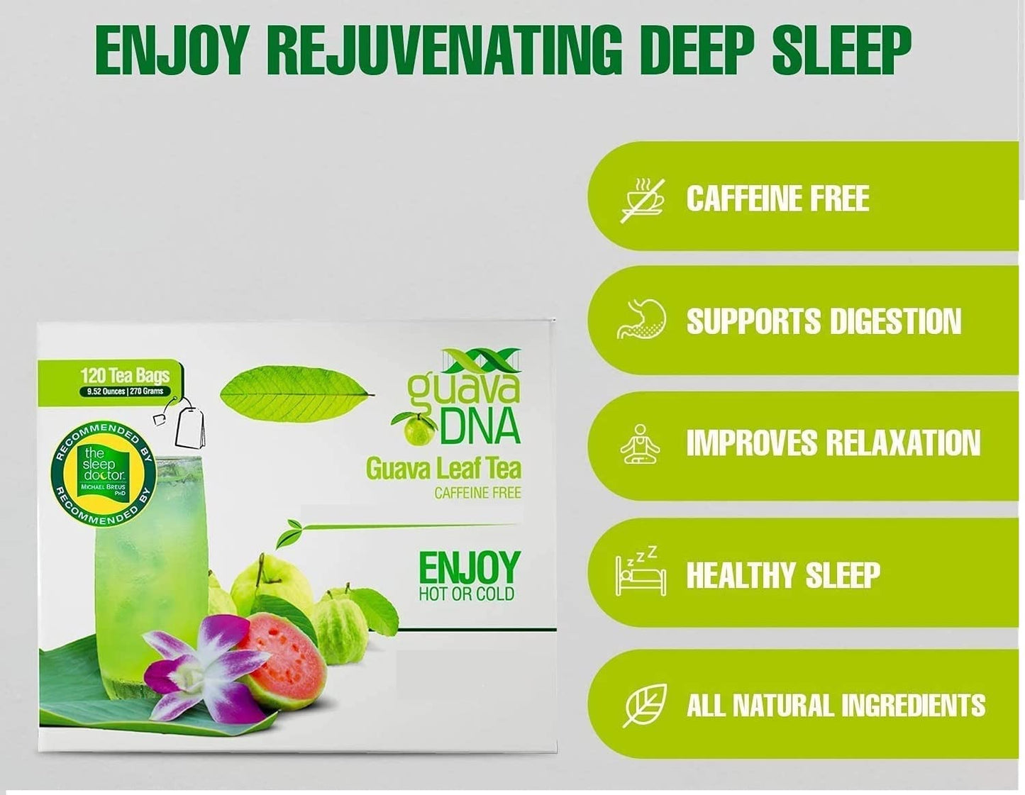 GuavaDNA Guava Leaf Tea Individually Wrapped Teabags by MATCHA DNA | 100% Pure Guava Leaves, Nothing Else Added (120 Teabags)