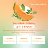 Therapy Clean All Purpose Cleaning Spray - Fresh Herbs & Melon 24 fl. oz - 100% Natural Scent, Kitchen Surface Counter, Surface Cleaner, Non Toxic All