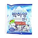 LENITH Korean Assorted Popular Fruit Flavored Candy Pieces (Peppermint)