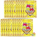 Gerrit’s Mini Mini Fruit Chicles Gum, 0.79 Ounce Pouches - 20 Count Display Box
