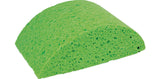 Masonry Sponge Turtleback