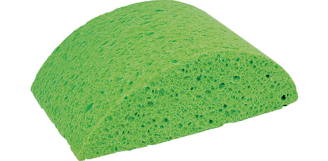 Masonry Sponge Turtleback