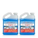Wet & Forget Moss, Mold, Mildew, & Algae Stain Remover Multi-Surface Outdoor Cleaner Concentrate, Original, 64 Fluid Ounces (2 Pack)