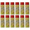 Discovery Products Nu-View Concession & Food Equipment Cleaner (12)