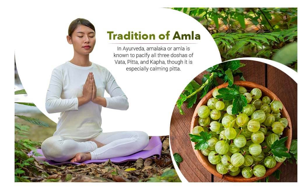 Amla Powder 2 lb(32 Ounces) Processed from Organically Grown Non-GMO Wild Amla Berries | Non-Irradiated | Raw Gluten-Free | No-Preservatives - Green