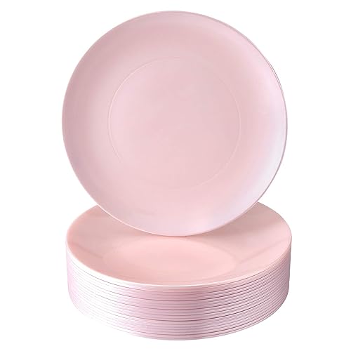 SILVER SPOONS Modern Design Disposable Plastic Dinner Plates for Party (10 PC) Heavy Duty Disposable Dinner Set 10.25”, Fine China Look Plastic