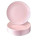 SILVER SPOONS Modern Design Disposable Plastic Dinner Plates for Party (10 PC) Heavy Duty Disposable Dinner Set 10.25”, Fine China Look Plastic