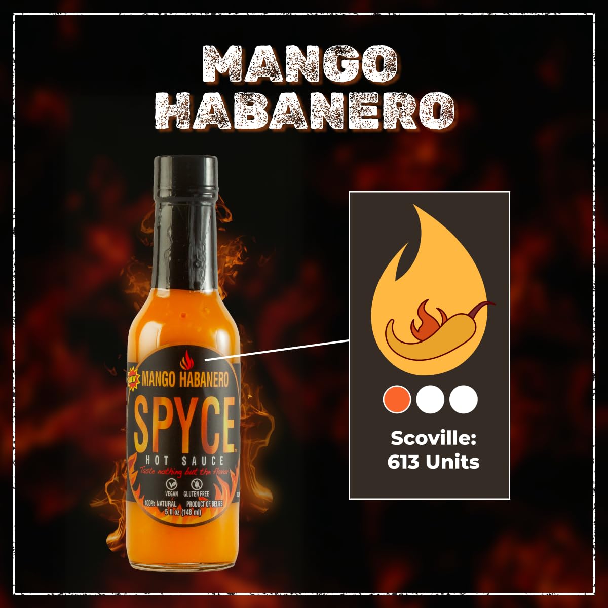 SPYCE Habanero Hot Sauce, Vegan, Gluten Free, Low Sodium, Non-GMO, No MSG, No Sugar, No Filler (5 oz, Mango Habanero)