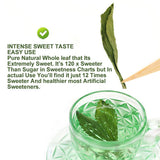 Plant Gift Organic Stevia Leaf sweet tea, sweet Herbal Tea chinese tea 20g