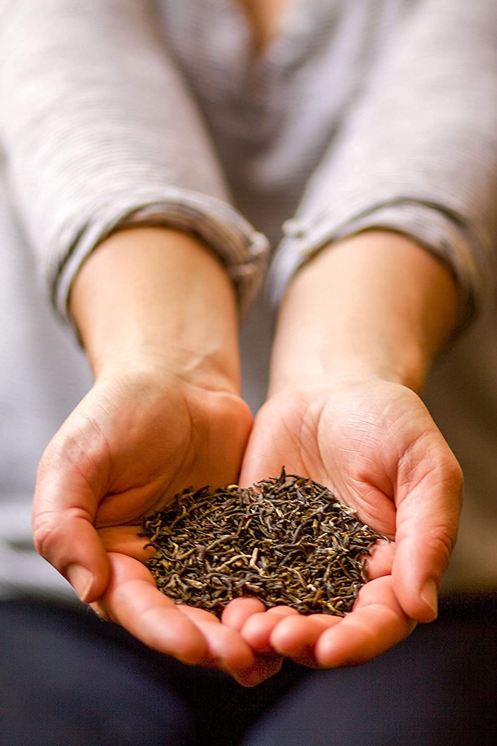 Golden Moon Tea Organic Jasmine Green Tea - Finest Leaves & Flowers - Loose Leaf, Non-GMO - Travel Tin (34 Servings)