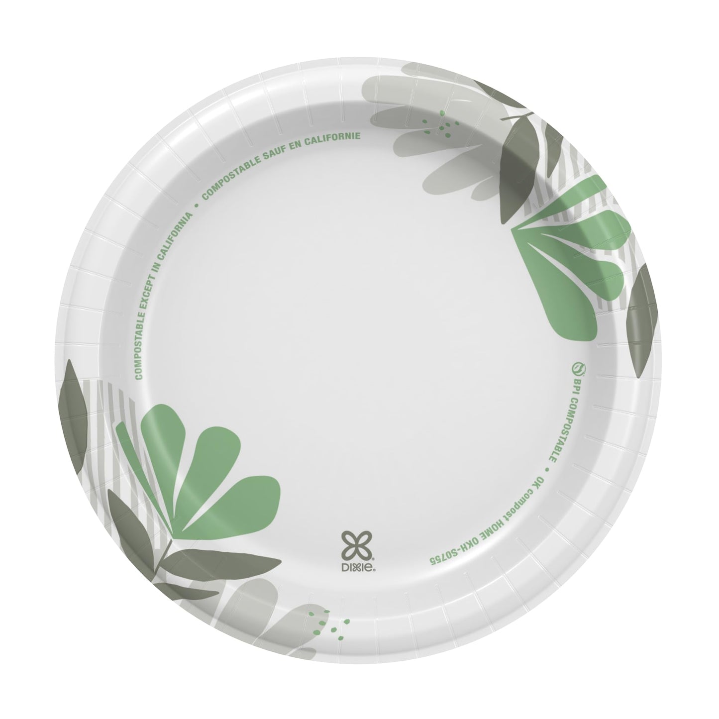 Dixie Pathways Paper Plates