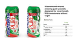 Sugar Free Chewing Gum - Variety Pocket Bottle Pack Watermelon Flavor and Berry Lime Pocket Bottle with Green Tea Extract, 1.05 Ounce per Bottle