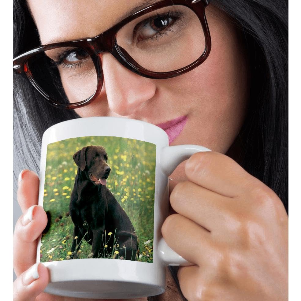 3dRose Chocolate Labrador Retriever Gift Set - Includes Mug, Keychain, and Card - Ideal Gift for Dog Lovers, Birthdays, and Holidays