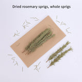 DYBOEDYO Dried Whole Rosemary Sprigs, 3.53oz(100g), 50~70 Rosemary Fresh Sprigs, Grade Dried Rosemary Sprigs for Baking & Beverages, Spices