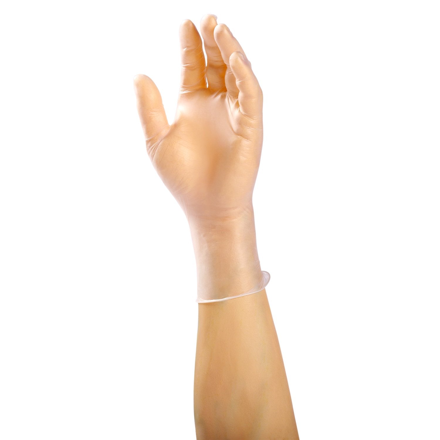 AMERCARE Anchor Vinyl Gloves XL Powder and Latex-Free (100 Pack)