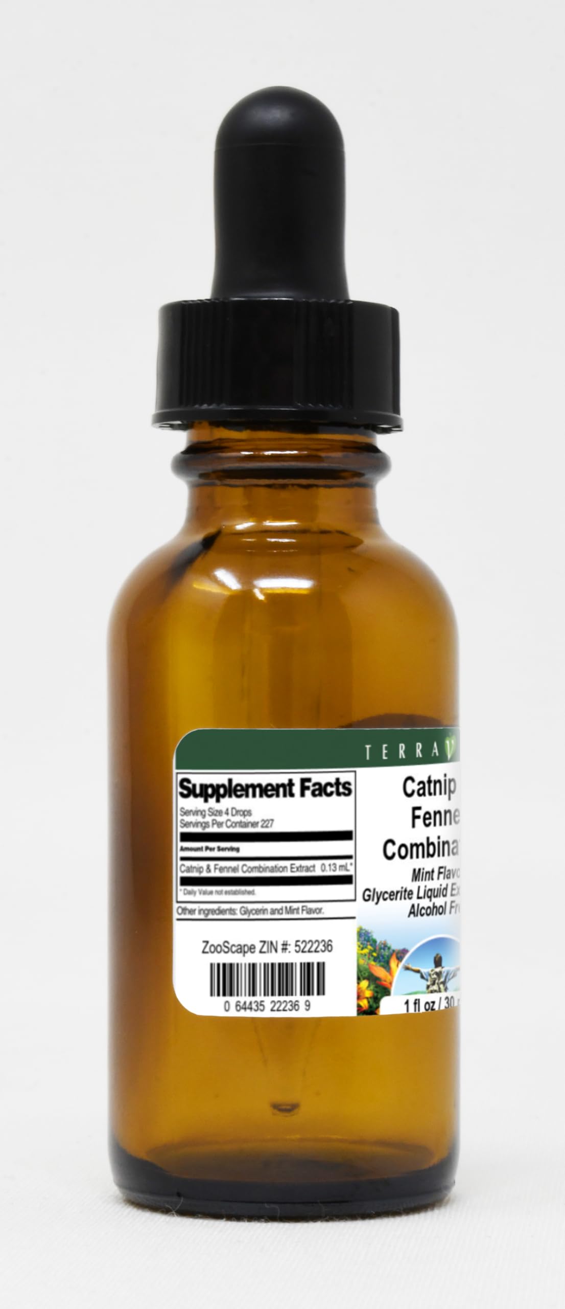 Catnip & Fennel Combination Glycerite Liquid Extract (1:5) - Mint Flavored (1 oz, ZIN: 522236) - 3 Pack