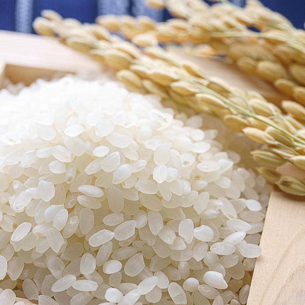 Kagayaki Organic Rice | California White Short Grain | Kapika Processed | Ideal for Health-Conscious Cooking | Professional Chef's Choice | Natural Flavor and Texture (4.4 lbs)