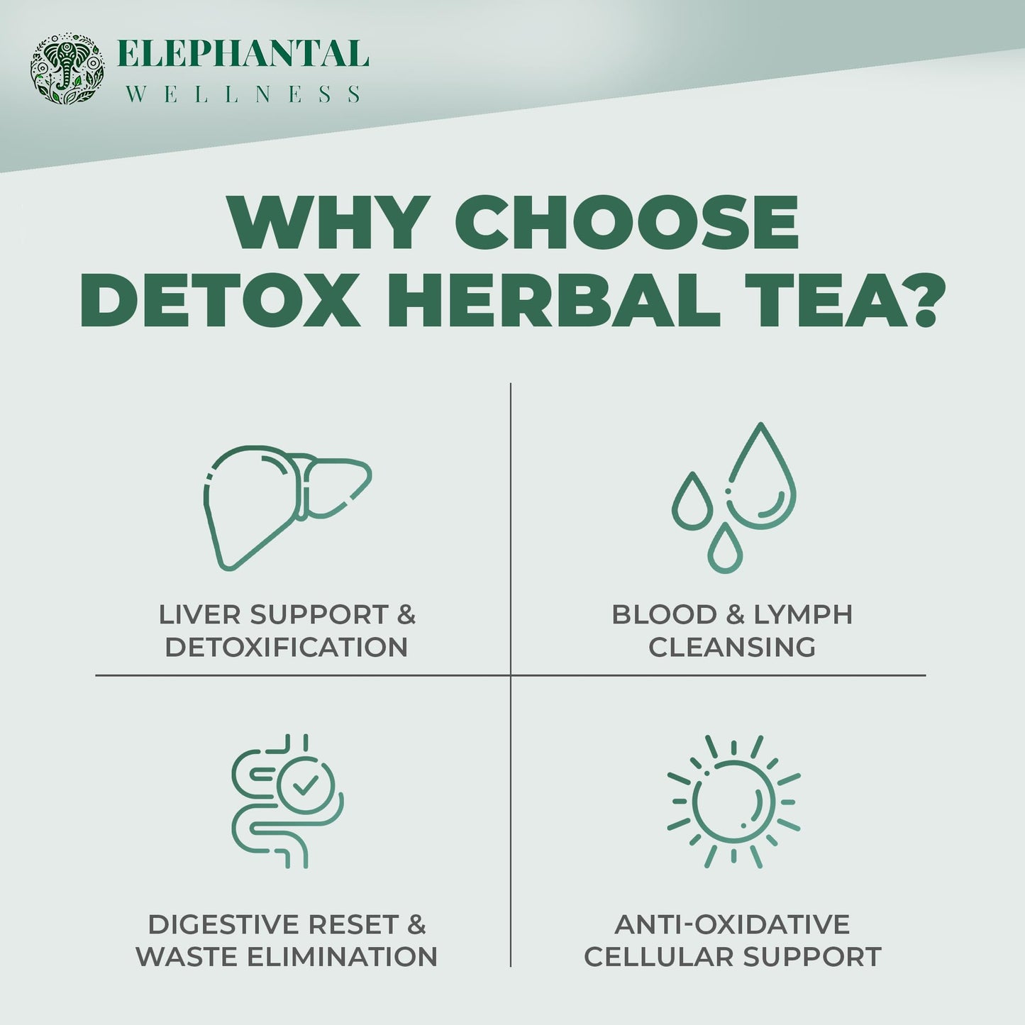 Elephantal Wellness Premium Detox Herbal Tea | Daily Liver, Kidney, Blood & Digestive Support with Turmeric, Nettle Tea, Milk Thistle, Dandelion Tea