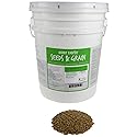 35 Lb Bulk Organic Rye Grain Seeds - Rye Seed for Sprouting Rye Berries, Rye Seeds for Organic Rye Flour, Rye Meal, Rye Pasta, Marble Rye Bread, Rye