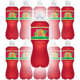 Tahitian Treat, Fruit Punch Soda, 20 Fl Oz Bottle (Pack of 12, Total of 240 Fl Oz)